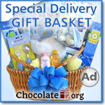 Special Delivery Baby Boy Gift Basket