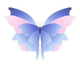 Birth Butterfly