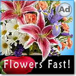 Add Floral Beauty and Freshness to your Shower